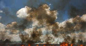 Огнеборци и над 40 доброволци гасиха сухи треви и спасиха 600 декара гора край Сухиндол