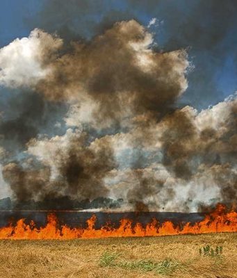 Огнеборци и над 40 доброволци гасиха сухи треви и спасиха 600 декара гора край Сухиндол