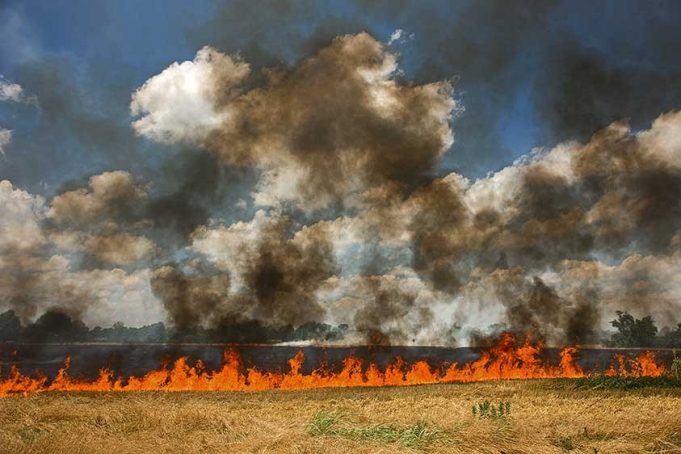 Огнеборци и над 40 доброволци гасиха сухи треви и спасиха 600 декара гора край Сухиндол