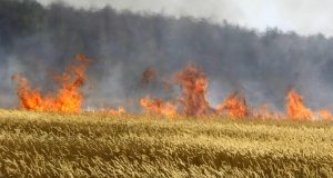 Детска игра предизвика пожар и унищожи 200 кг. фуражно зърно и 10 бали фураж