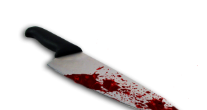 Криминален инцидент в с. Долна Липница