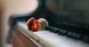 Пейо Яворов – Песен на песента ми