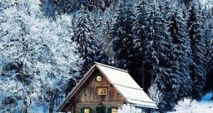 Неделен следобед