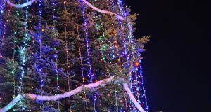 Изявените деца на Павликени и кметът инж. Емануил Манолов запалиха светлините на коледното дърво