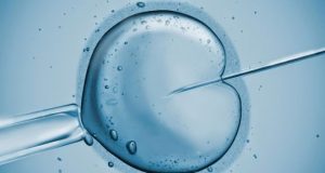 Заседание на Комисията по инвитро