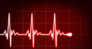 На границата