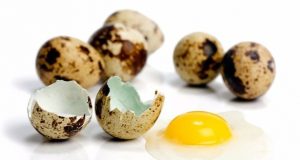 Продавам яйца от пъдпъдък