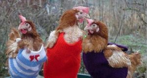 Способност