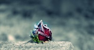 Лирична археология