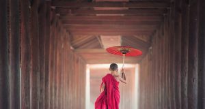 Препоръките на д-р Джордан Питърсън