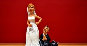 Дневна доза хумор