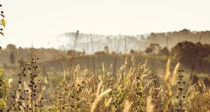 Зърнопроизводителите се отказаха от протести