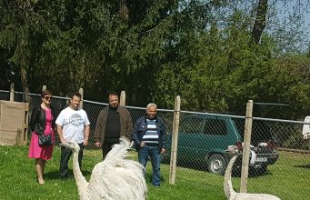 Две птици нанду са новите обитатели на Зоокът Павликени