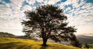 Покана на земляческа среща – село Горско Калугерово