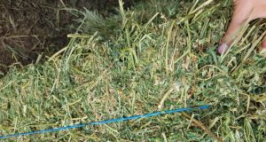 Продавам бали люцерна