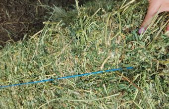 Продавам бали люцерна