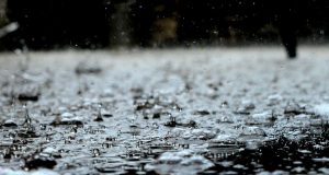 Да ви еба у „инженерите“