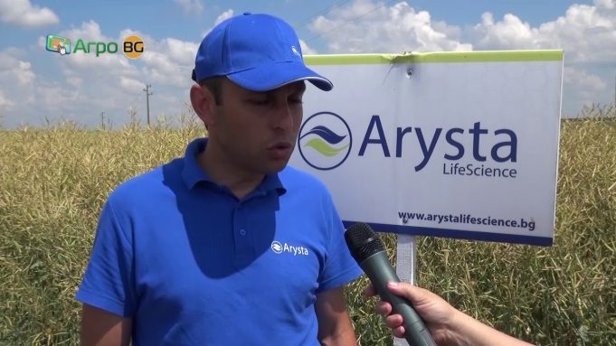 Професионални грижи за рапицата от Ариста ЛайфСайънс край Павликени