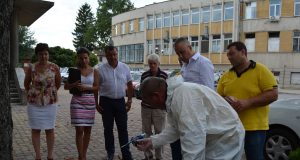 Нов метод за спасяване на кестените показаха в Павликени за първи път