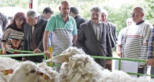 Изграждат елитен център по селекция в Павликени