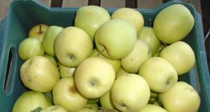 Продавам ябълки