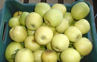 Продавам ябълки