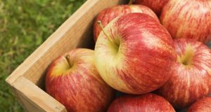 Продавам ябълки