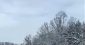 Автобус по линията София – Варна пропадна в канавка на разклона за Павликени