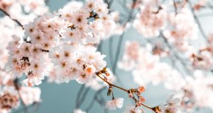 Представяме сборник детска поезия „Четири сезона”