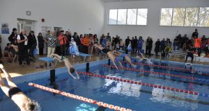 Контролна среща събра в Павликени четири плувни клуба