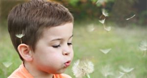 Утвърдена е стратегия за подкрепа на личностното развитие на децата и учениците от област Велико Търново