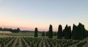 „Бянови“ ООД