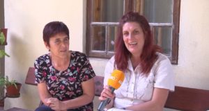 История и земеделие в Павликени и Бяла черква