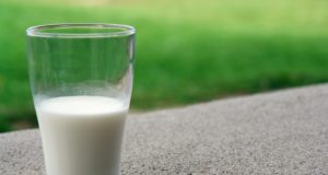 Ще правят голямо млекопреработвателно предприятие край Павликени