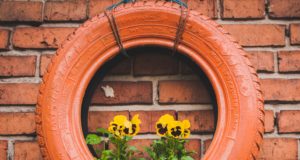 Села в общините Павликени и Полски Тръмбеш остават без обществен транспорт