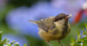 Търси да назначи общи работници