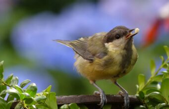 Търси да назначи общи работници