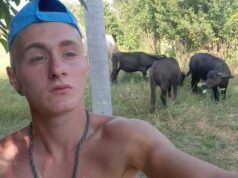 17-годишно момче От Павликени само се грижи за биволите си