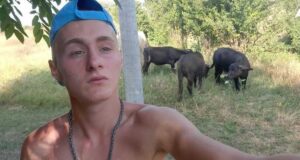 17-годишно момче От Павликени само се грижи за биволите си