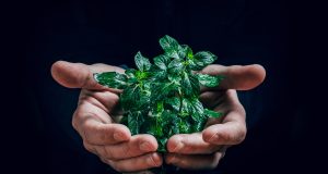 Общински съвет – Павликени се вслуша в гласа на гражданите