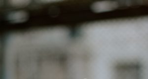 Решителната гражданска съпротива срещу завода на Румен Гайтански в с. Върбовка продължава