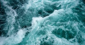 Йордановден в община Павликени 2023