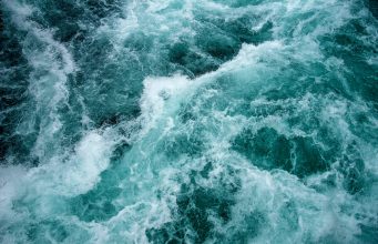 Йордановден в община Павликени 2023