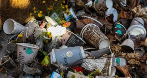 Проблемът с инсталацията за горене на отпадъци край с. Върбовка стига до Европарламента