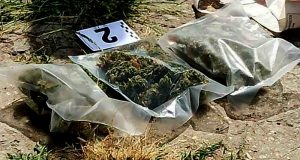 Заловиха 42-годишен от Патреш, докато си полива конопа