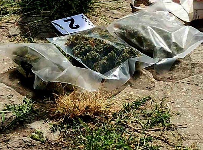 Заловиха 42-годишен от Патреш, докато си полива конопа