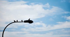 Община Павликени подписа първи договор по Плана за възстановяване и устойчивост