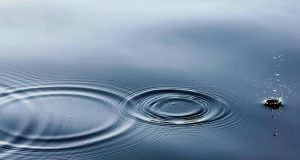 В Павликени възраждат водното огледало