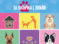 Ротаракт клуб Велико Търново стартира кампанията „За лапичка с любов”