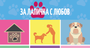 Ротаракт клуб Велико Търново стартира кампанията „За лапичка с любов”